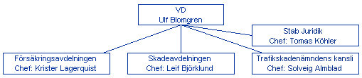 Organisationsschema