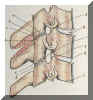 figur1.jpg (24525 byte), klicka s� visas originalbilden