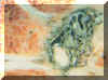 figur6.jpg (9035 byte), klicka s� visas originalbilden